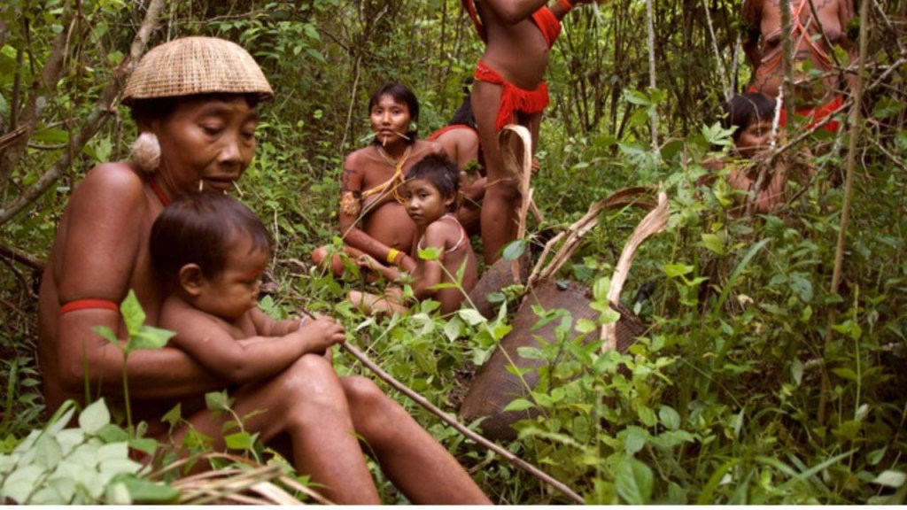 indigenas - indigenas