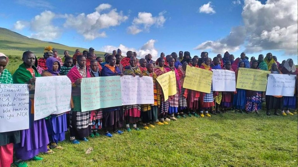 indigenas - indigenas