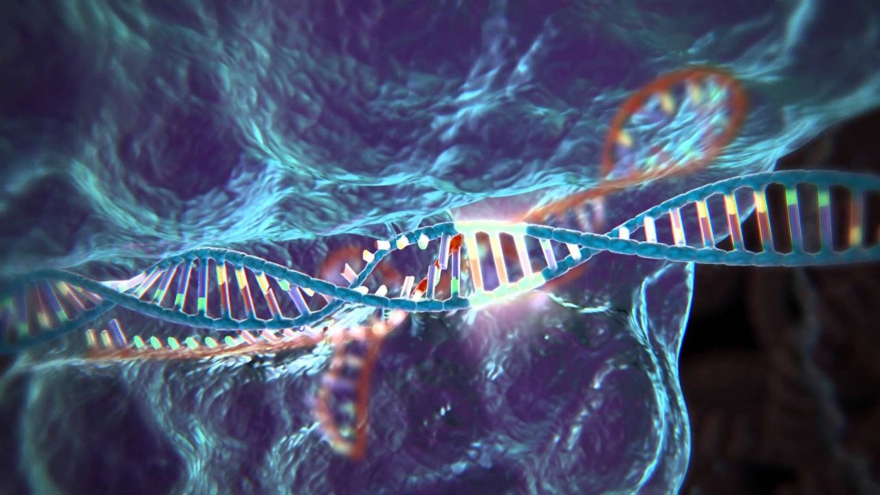 CRISPR-Cas9: Nuevos avances contra el VIH