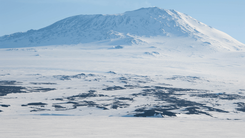 antartida - antartida