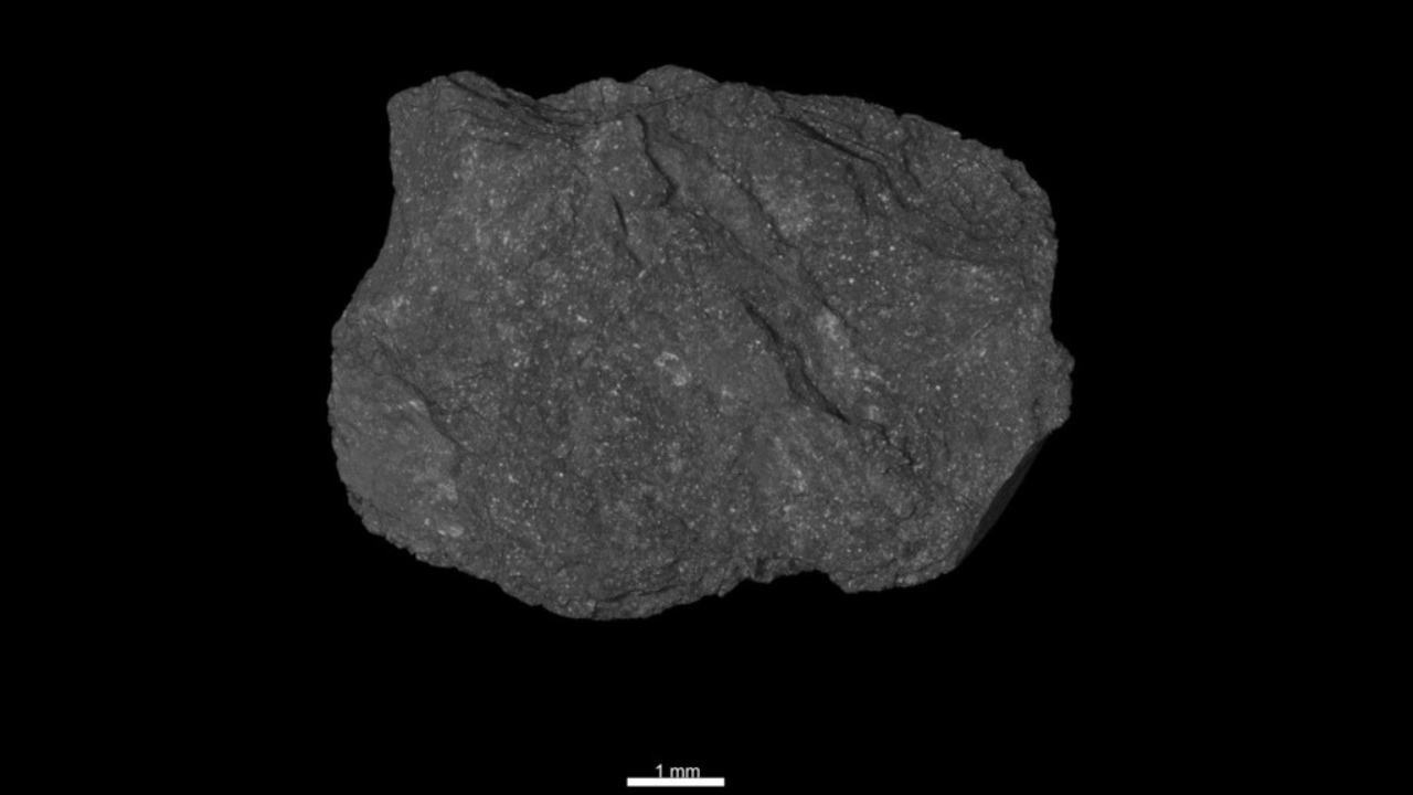 Los bloques de la vida en el asteroide Bennu: aminoácidos y ADN que podrían explicar el origen de la vida