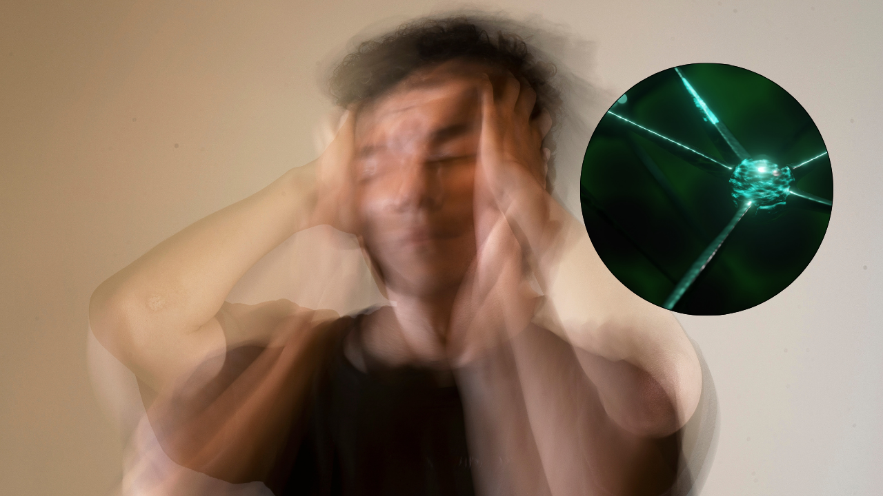 Científicos descubren las neuronas responsables de la ansiedad y cómo calmarlas