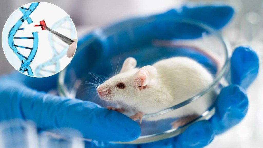 terapia genetica - terapia genetica