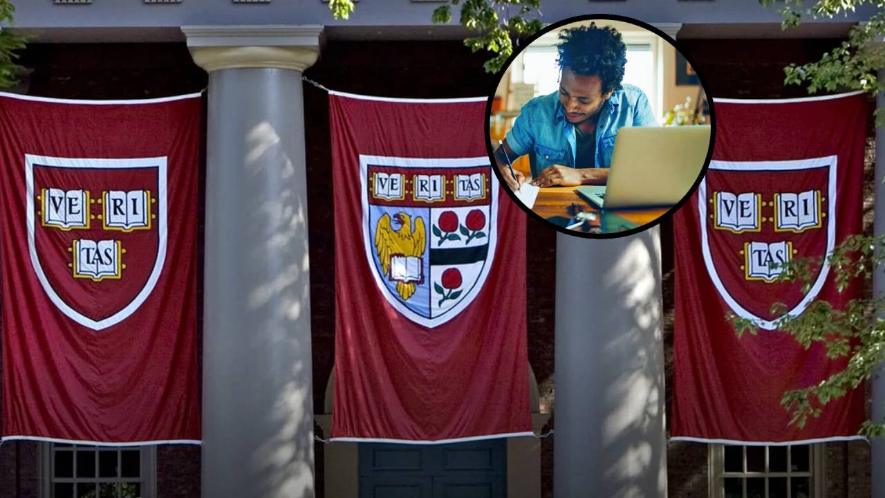 10 cursos gratuitos de Harvard para dominar nuevas habilidades en 2025