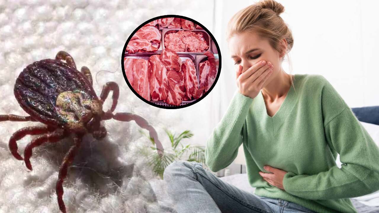 Primera muerte documentada por “alergia a la carne” causada por garrapatas en EE. UU.