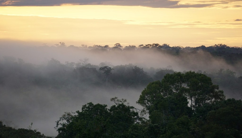 La Amazonia ante el surgimiento de un clima hipertropical 1 amazonia - amazonia