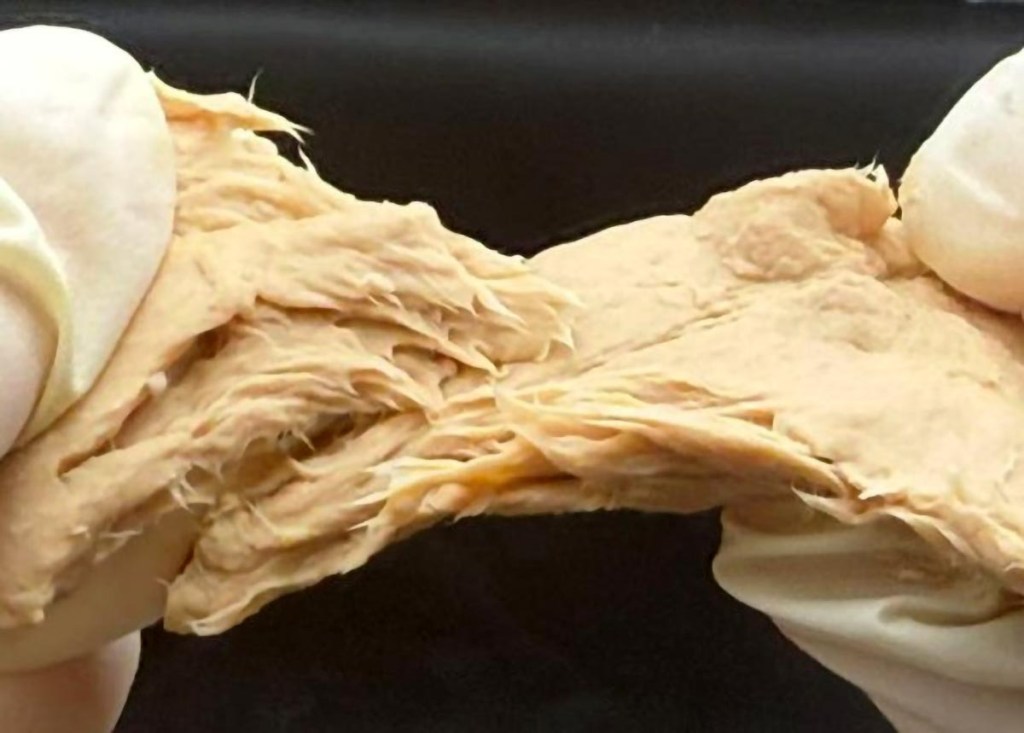 CRISPR transforma un hongo en la proteína sostenible del futuro: más nutritiva y ecológica que la carne