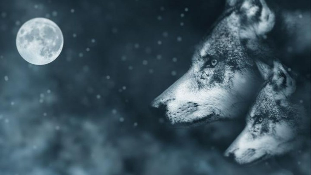 La luna del lobo y las Cuadrántidas: un inicio celestial para 2026 1 luna del lobo - luna del lobo