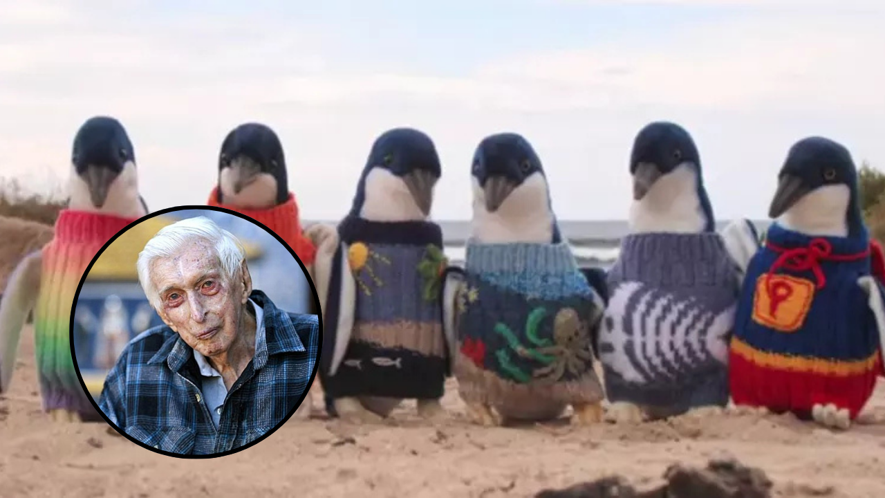 El hombre más anciano de Australia que tejía suéteres para salvar pingüinos heridos