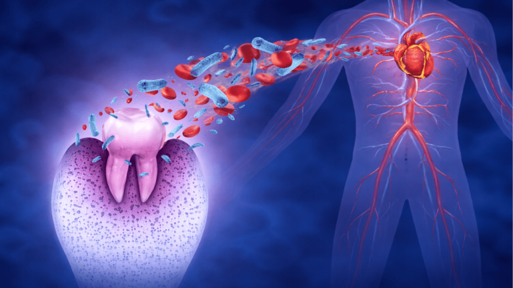 Endodoncia y metabolismo: lo que revela la ciencia sobre la conexión entre boca y el cuerpo 2 endodoncia - endodoncia