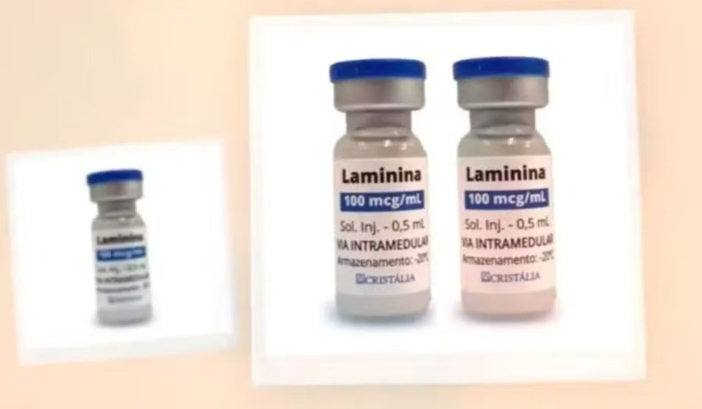 Polilaminina: el avance brasileño que podría revolucionar el tratamiento de la lesión medular 2 polilaminina - polilaminina