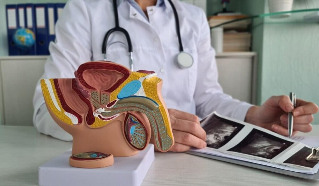 Niño nace con tres penes: El primer caso documentado de triphallia en humanos