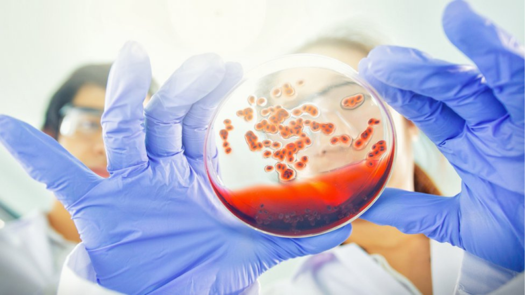 The Cancer That Was Not Human: the medical case that challenged biology 3 cancer - cancer