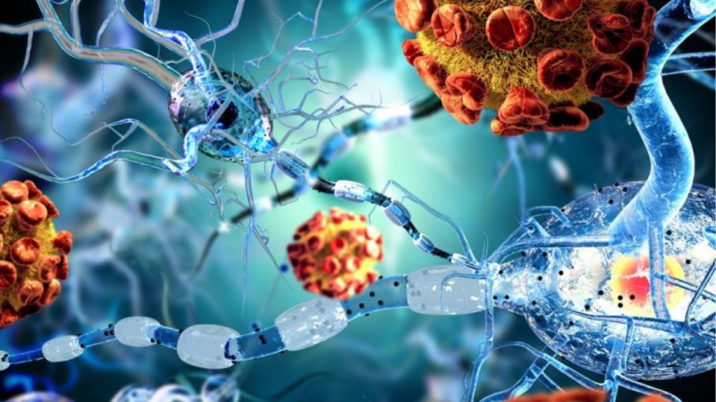 Escáneres cerebrales revelan huellas silenciosas del COVID-19 incluso tras la recuperación