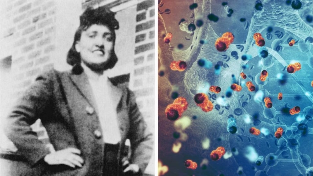 henrietta lacks - henrietta lacks