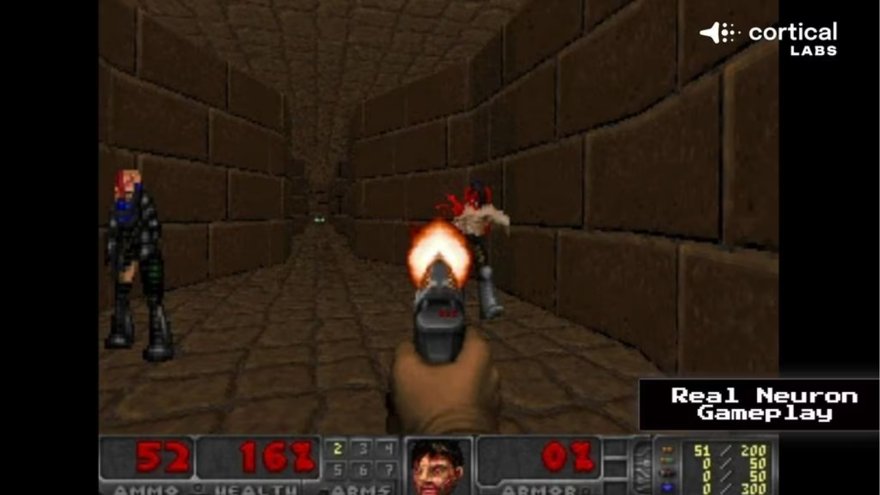 Investigadores enseñan a una “computadora biológica” llamada CL1 que está hecha con células cerebrales humanas a jugar Doom