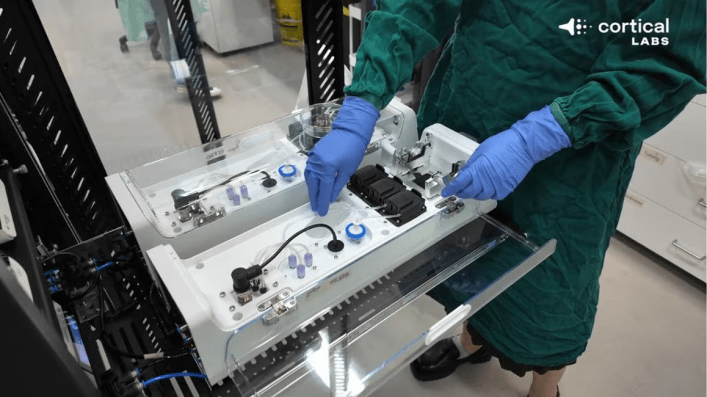 Investigadores enseñan a una “computadora biológica” llamada CL1 que está hecha con células cerebrales humanas a jugar Doom 1 computadora biologica - computadora biologica