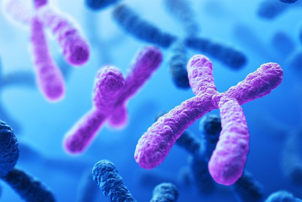 crispr - crispr