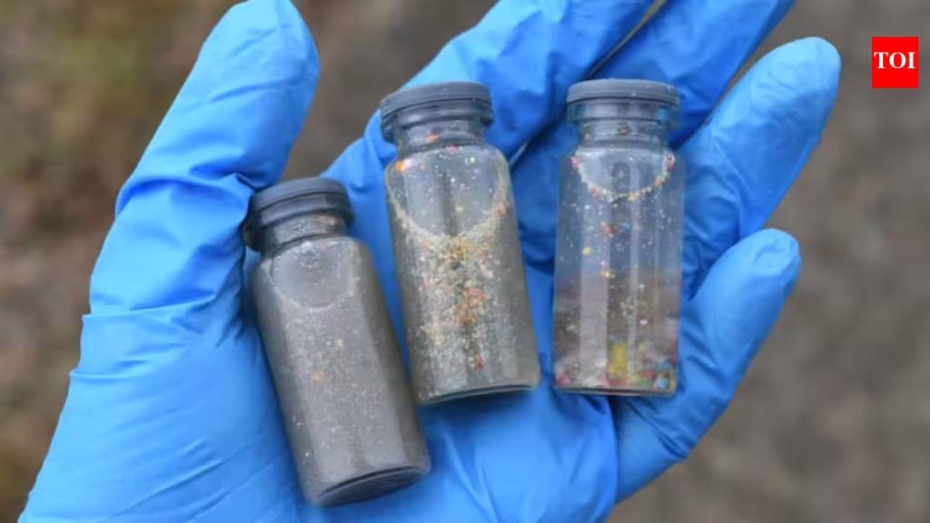 microplasticos - microplasticos